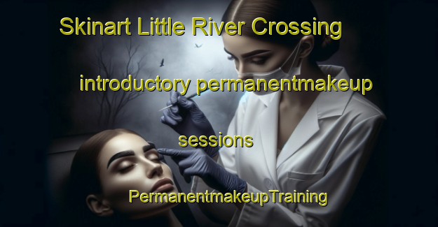 Skinart Little River Crossing introductory permanentmakeup sessions | #PermanentmakeupTraining #PermanentmakeupClasses #SkinartTraining-United States