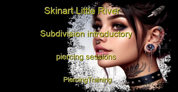 Skinart Little River Subdivision introductory piercing sessions | #PiercingTraining #PiercingClasses #SkinartTraining-United States