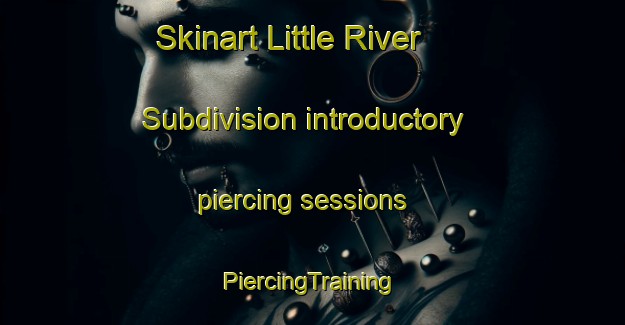 Skinart Little River Subdivision introductory piercing sessions | #PiercingTraining #PiercingClasses #SkinartTraining-United States