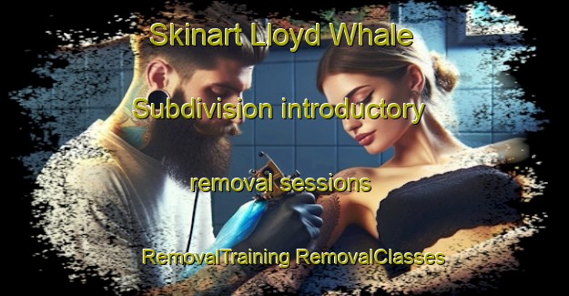 Skinart Lloyd Whale Subdivision introductory removal sessions | #RemovalTraining #RemovalClasses #SkinartTraining-United States