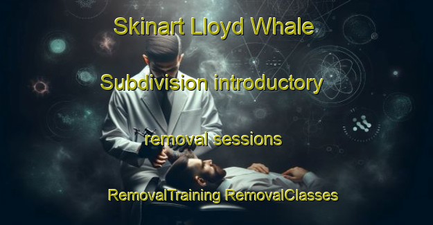 Skinart Lloyd Whale Subdivision introductory removal sessions | #RemovalTraining #RemovalClasses #SkinartTraining-United States