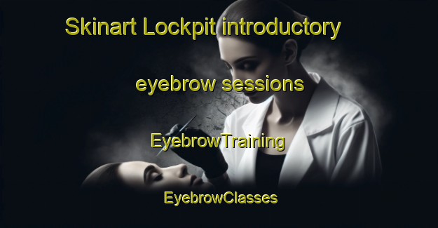 Skinart Lockpit introductory eyebrow sessions | EyebrowTraining | EyebrowClasses | SkinartTraining-United States