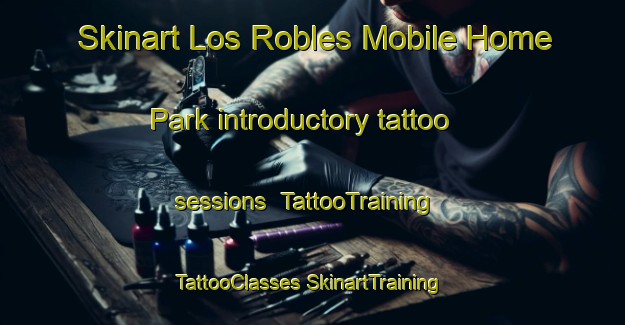 Skinart Los Robles Mobile Home Park introductory tattoo sessions | #TattooTraining #TattooClasses #SkinartTraining-United States