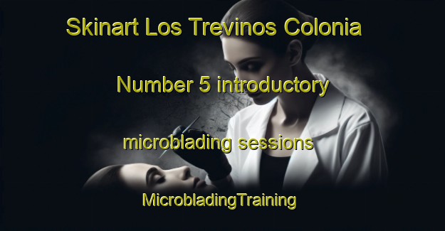 Skinart Los Trevinos Colonia Number 5 introductory microblading sessions | #MicrobladingTraining #MicrobladingClasses #SkinartTraining-United States