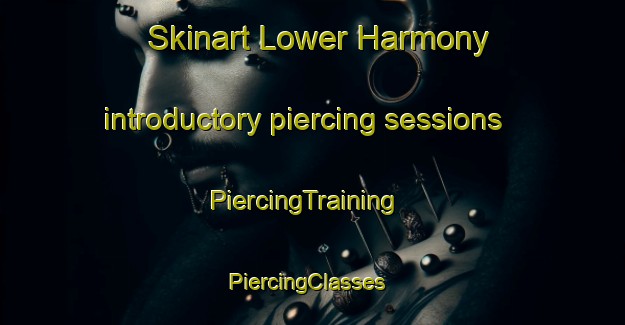 Skinart Lower Harmony introductory piercing sessions | PiercingTraining | PiercingClasses | SkinartTraining-United States