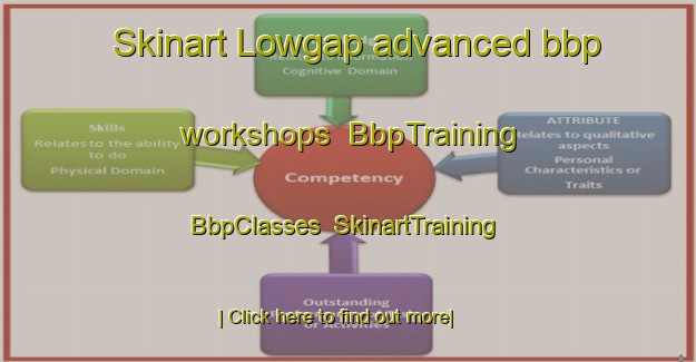 Skinart Lowgap advanced bbp workshops | BbpTraining | BbpClasses | SkinartTraining-United States