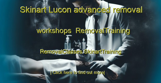 Skinart Lucon advanced removal workshops | #RemovalTraining #RemovalClasses #SkinartTraining-United States