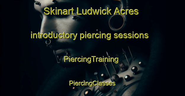 Skinart Ludwick Acres introductory piercing sessions | #PiercingTraining #PiercingClasses #SkinartTraining-United States