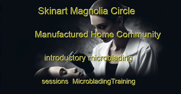 Skinart Magnolia Circle Manufactured Home Community introductory microblading sessions | #MicrobladingTraining #MicrobladingClasses #SkinartTraining-United States