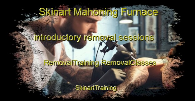 Skinart Mahoning Furnace introductory removal sessions | #RemovalTraining #RemovalClasses #SkinartTraining-United States