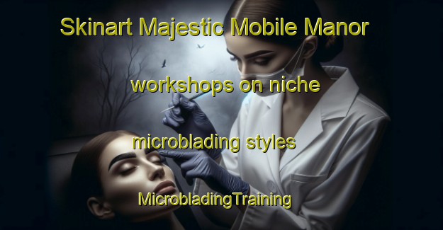 Skinart Majestic Mobile Manor workshops on niche microblading styles | MicrobladingTraining | MicrobladingClasses | SkinartTraining-United States