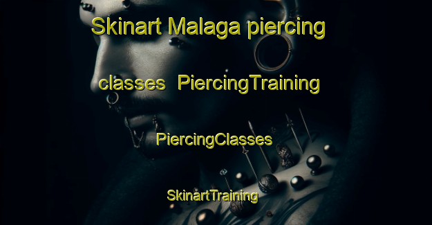 Skinart Malaga piercing classes | #PiercingTraining #PiercingClasses #SkinartTraining-United States