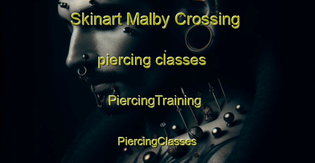 Skinart Malby Crossing piercing classes | #PiercingTraining #PiercingClasses #SkinartTraining-United States