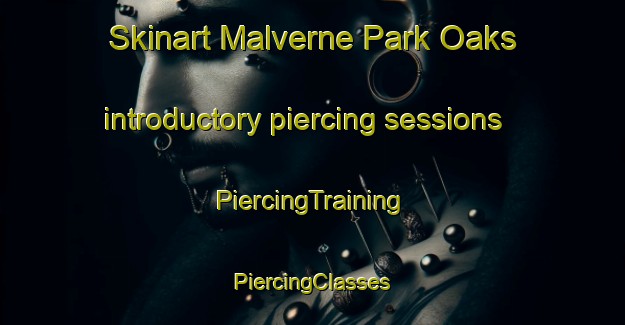 Skinart Malverne Park Oaks introductory piercing sessions | #PiercingTraining #PiercingClasses #SkinartTraining-United States