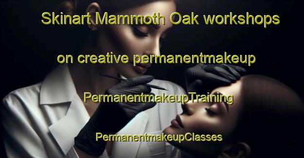 Skinart Mammoth Oak workshops on creative permanentmakeup | #PermanentmakeupTraining #PermanentmakeupClasses #SkinartTraining-United States