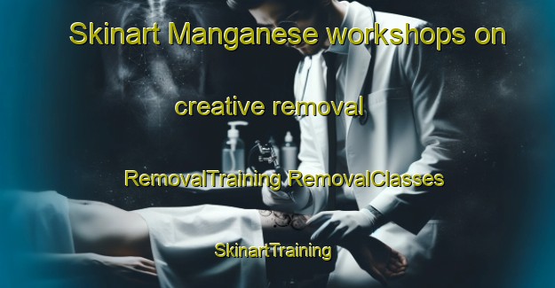 Skinart Manganese workshops on creative removal | #RemovalTraining #RemovalClasses #SkinartTraining-United States