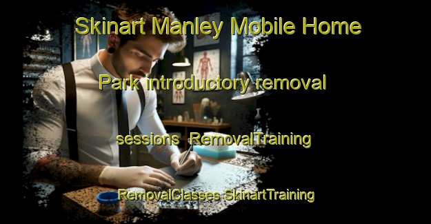 Skinart Manley Mobile Home Park introductory removal sessions | #RemovalTraining #RemovalClasses #SkinartTraining-United States