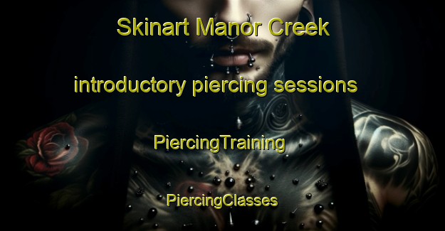 Skinart Manor Creek introductory piercing sessions | #PiercingTraining #PiercingClasses #SkinartTraining-United States