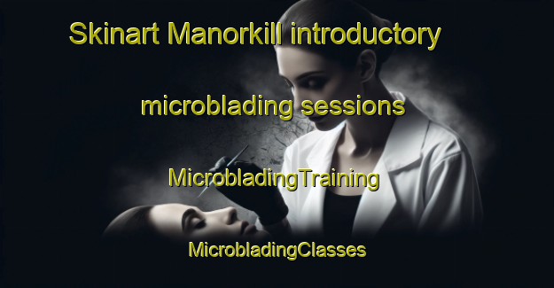 Skinart Manorkill introductory microblading sessions | #MicrobladingTraining #MicrobladingClasses #SkinartTraining-United States