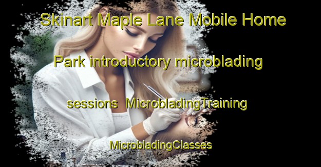 Skinart Maple Lane Mobile Home Park introductory microblading sessions | #MicrobladingTraining #MicrobladingClasses #SkinartTraining-United States