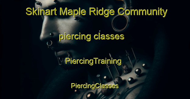 Skinart Maple Ridge Community piercing classes | #PiercingTraining #PiercingClasses #SkinartTraining-United States