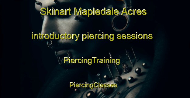 Skinart Mapledale Acres introductory piercing sessions | PiercingTraining | PiercingClasses | SkinartTraining-United States