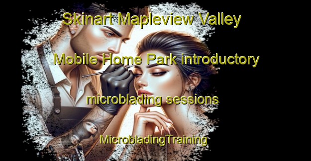 Skinart Mapleview Valley Mobile Home Park introductory microblading sessions | #MicrobladingTraining #MicrobladingClasses #SkinartTraining-United States