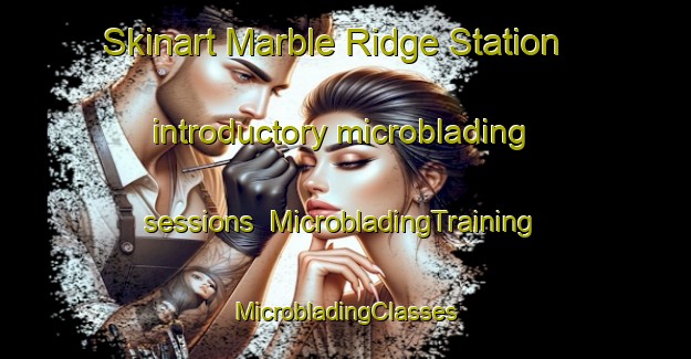 Skinart Marble Ridge Station introductory microblading sessions | #MicrobladingTraining #MicrobladingClasses #SkinartTraining-United States