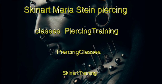 Skinart Maria Stein piercing classes | PiercingTraining | PiercingClasses | SkinartTraining-United States