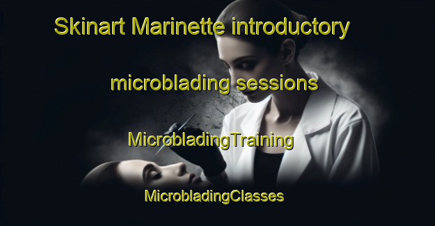 Skinart Marinette introductory microblading sessions | MicrobladingTraining | MicrobladingClasses | SkinartTraining-United States