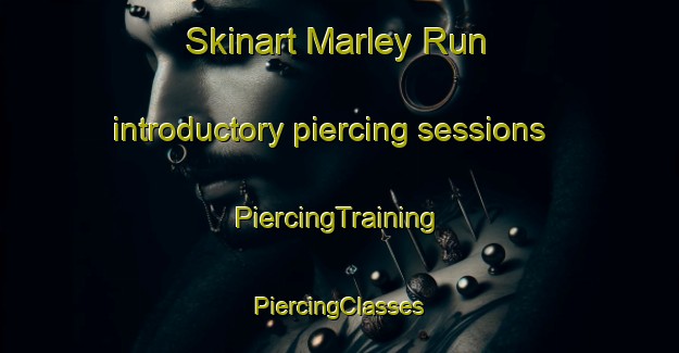 Skinart Marley Run introductory piercing sessions | #PiercingTraining #PiercingClasses #SkinartTraining-United States