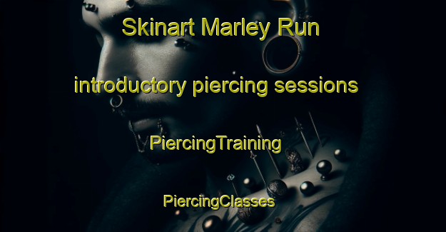 Skinart Marley Run introductory piercing sessions | PiercingTraining | PiercingClasses | SkinartTraining-United States