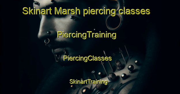 Skinart Marsh piercing classes | PiercingTraining | PiercingClasses | SkinartTraining-United States