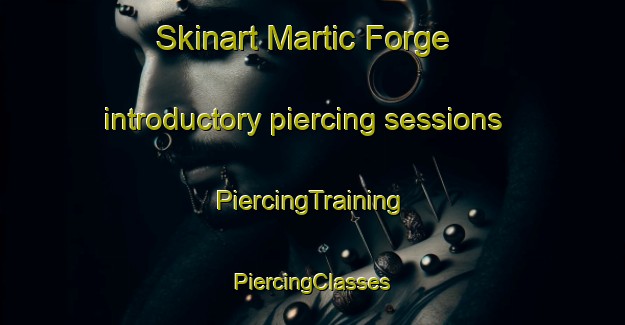 Skinart Martic Forge introductory piercing sessions | #PiercingTraining #PiercingClasses #SkinartTraining-United States