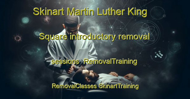 Skinart Martin Luther King Square introductory removal sessions | #RemovalTraining #RemovalClasses #SkinartTraining-United States