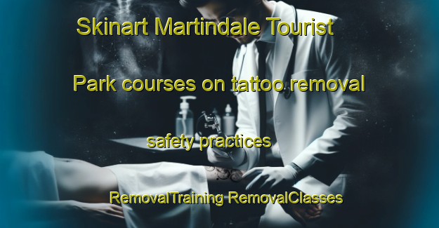 Skinart Martindale Tourist Park courses on tattoo removal safety practices | #RemovalTraining #RemovalClasses #SkinartTraining-United States