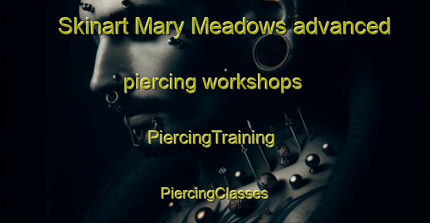 Skinart Mary Meadows advanced piercing workshops | #PiercingTraining #PiercingClasses #SkinartTraining-United States