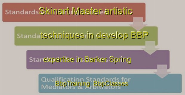 Skinart Master artistic techniques in develop BBP expertise in Barker Spring | BbpTraining | BbpClasses | SkinartTraining-United States