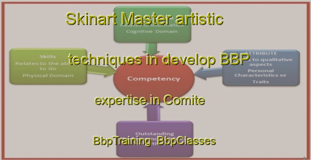 Skinart Master artistic techniques in develop BBP expertise in Comite | BbpTraining | BbpClasses | SkinartTraining-United States