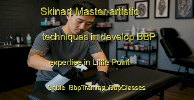 Skinart Master artistic techniques in develop BBP expertise in Little Point Sable | BbpTraining | BbpClasses | SkinartTraining-United States