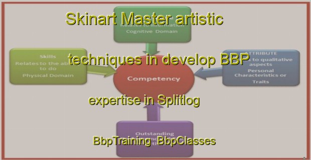 Skinart Master artistic techniques in develop BBP expertise in Splitlog | BbpTraining | BbpClasses | SkinartTraining-United States