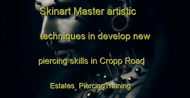 Skinart Master artistic techniques in develop new piercing skills in Cropp Road Estates | PiercingTraining | PiercingClasses | SkinartTraining-United States