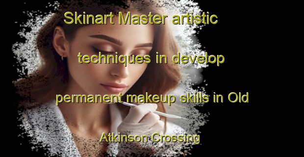 Skinart Master artistic techniques in develop permanent makeup skills in Old Atkinson Crossing | PermanentmakeupTraining | PermanentmakeupClasses | SkinartTraining-United States