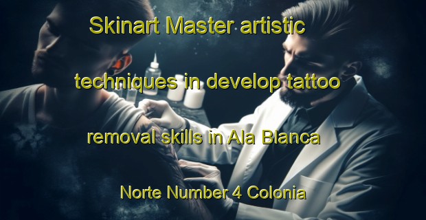 Skinart Master artistic techniques in develop tattoo removal skills in Ala Blanca Norte Number 4 Colonia | RemovalTraining | RemovalClasses | SkinartTraining-United States