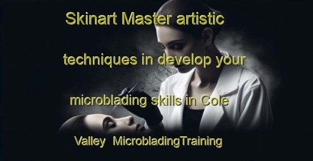 Skinart Master artistic techniques in develop your microblading skills in Cole Valley | MicrobladingTraining | MicrobladingClasses | SkinartTraining-United States