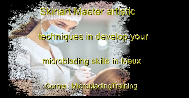 Skinart Master artistic techniques in develop your microblading skills in Meux Corner | MicrobladingTraining | MicrobladingClasses | SkinartTraining-United States