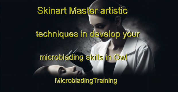 Skinart Master artistic techniques in develop your microblading skills in Owl | MicrobladingTraining | MicrobladingClasses | SkinartTraining-United States