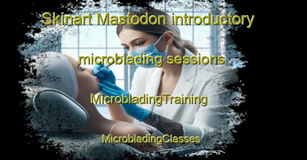 Skinart Mastodon introductory microblading sessions | MicrobladingTraining | MicrobladingClasses | SkinartTraining-United States