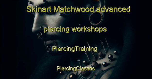 Skinart Matchwood advanced piercing workshops | #PiercingTraining #PiercingClasses #SkinartTraining-United States