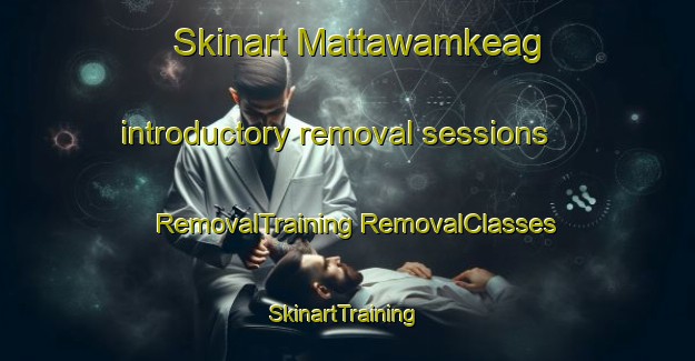 Skinart Mattawamkeag introductory removal sessions | #RemovalTraining #RemovalClasses #SkinartTraining-United States